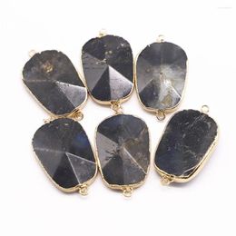 Pendant Necklaces 2pcs/lot 2024 Natural Stone Oval Pendants Labradorite Mineral Healing Gold Plated Edge Charms Diy Jewellery Wholesale