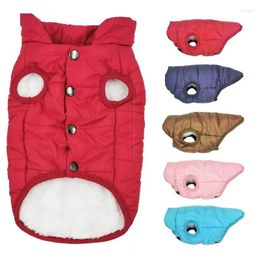 Dog Apparel Pet Winter Clothes Outdoor Cold Proof Warm Jacket With Fleece Cotton Lining Coat For Small Medium Large