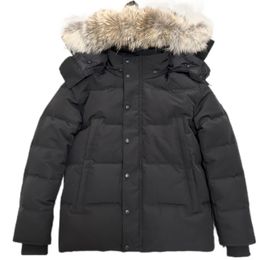 Winter Männer Daunenjacken Echt Coyote Pelz Designer Homme Puffer Wyndham Windjacke Jassen Oberbekleidung Mit Kapuze Fourrure Manteau Daunenjacke Mantel Hiver Parka Doudoune