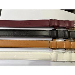 25cm Classic Belt Luxury Designer Famous Brand High Quality Genuine Leather Women Belts For Dress With Gift Box 240106