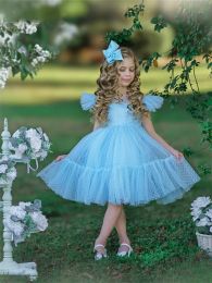 Classy Short Blue Flower Girl Dresses Jewel Neck Tulle Sleeveless A Line Knee Length Custom Made for Wedding Party