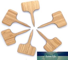 100Pcs Garden Plant Labels Bamboo TType Tags Markers Nursery Pots Garden Decoration Seedling Tray Mark Tools5318126