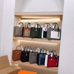 Multi Styles Tote Bag Women Designer Handbag Brand Totes Ladies Fashion Shopping Bags Classic Solid Colour Shoulder Bags