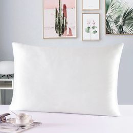 100% Nature Mulberry Silk Pillowcase Zipper Pillowcases Pillow Case For Healthy Standard Queen King Multicolor 240106