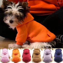 Dog Apparel Puppy Pet Hooded Sweatshirt Autumn Winter Two-legged Pocket Cat Clothes