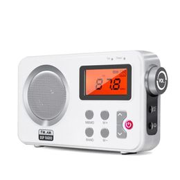 Radio Radio Dual Channels AM FM Audio Receiver Stable Signal Radio With 3.5MM Earphone Plug Stretchable Antenna