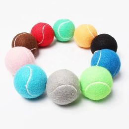 6pcs Pack Color Tennis Balls Pink Blue White Gray Rainbow Ball Standard 25inch Dog Training Gift 240108