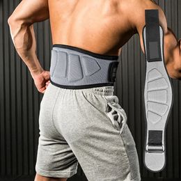 Weight Lifting Waist Support Belt Adjustable Squat Lower Back Support Breathable Warm Sports Protective Gear for Adult Men Women 240108