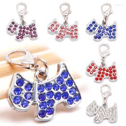 Dog Tag Rhinestone Crystal Animal Shaped Charms For Collars Lobster Clasp Jewellery Pendant Accessories Pet Products