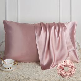 DISANGNI 100% Natural Mulberry Silk Pillowcase for Hair and Skin - Front in Pure Silk Back in Breathable Fibre 1 Pack 240106