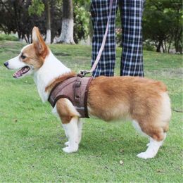 Dog Collars Step In Harness And Sets No Pull Adjustable Reflective Soft Mesh Corduroy Vest Harnesses For Small Cat Collar Pack