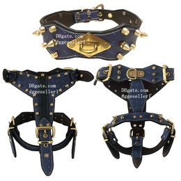 Designer Dog Harness Leash set Leather Spiked Studded Medium & Large Dog Collars, Harnesses & Leashes 3Pcs Matching Set for Pit Bull, Mastiff, Boxer, Bull Terrier Blue L B206