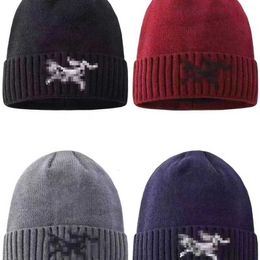 Designer Ball Caps Winter New High Quality Embroidered Bird Home Outdoor Plush Warm Knitted Hat Outdoor Hip Hop Ski Hat X1RF