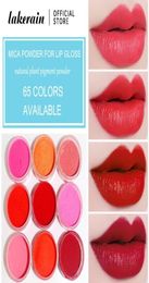 65 Colors Mica Powder For Lip Gloss DIY Lipstick Pigment Powder for Epoxy Resin Soap Making Slime Homemade Lipgloss Supplies3562208