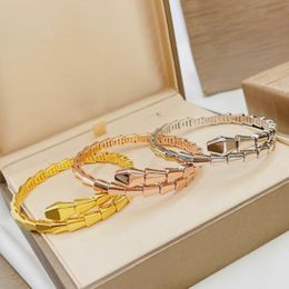 Luxury Women Bracelets 925 Sterling Silver Yellow Rose White Gold Plated Smooth Plated Snake Bangles Bracelet for Girls Women Nice Gift