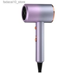 Hair Dryers High-Power Spiral Filament Hair Dryer with Anion and Dual Voltage for Household Use Secador De Cabelo Profissional Hair Dryer Q240109