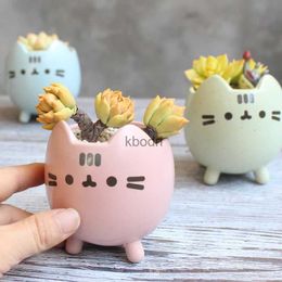 Planters Pots Succulent Plant Pot with Hole Cute Animal Flower Planter Flowerpot Lovely Little Cat Home Garden Decor Bonsai Pots Birthday Gift YQ240109