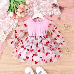 Girl Dresses Autumn Kids Long Sleeves Princess Dress Casual Heart Print Mesh Tulle A-Line For Toddler Baby Spring Clothes