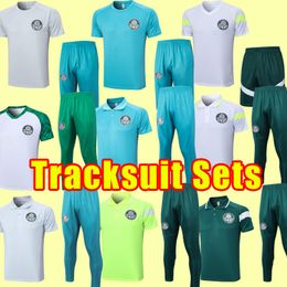 Palmeiras soccer tracksuits 23 24 2023 2024 Hendecacampeao L. ADRIANO RAMIRES DUDO GOMEZ Veiga Willian Roni football shirts MELO training suit POLO Sets