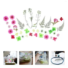 Decorative Flowers 1 Bag Of DIY Dried Bookmark Supply Resin Mold Fillings Vase Flower Decor