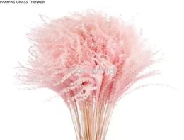 Pampas Grass Thinker Colorful Natural Light Pink Wedding Pampas Flowers Valentines Day Gift Natural Dried Reed Flower Bouquets Whi4567938