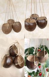 Planting basin hanging basket household decoration hanging pot coconut shell pot coconut shell pot creative gift9640696