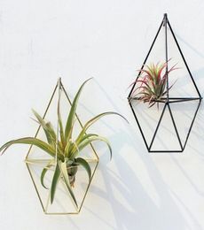 Metal Pastoral Wall standing Hanging Tillandsia Air Plants Rack Rustic Wrought Geometric Tripod Air Plant Holder3020289