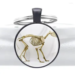 Keychains Fashion Dinosaur Skeleton Design Black Color Charm Glass High Quality Dome Key Chains Men Women Ring Jewelry Gifts