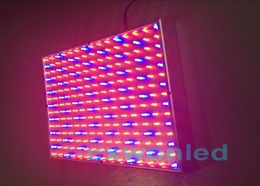 whole 220 LED Blue Red Indoor Garden Hydroponic Plant Grow Light Panel 14 Watt Hanging Kit DHL UPS 2068318