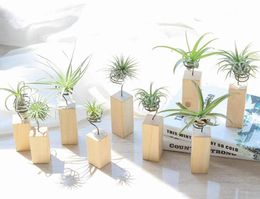 Garden Decorations Iron Air Plant Stand Container Tillandsia Holder Tabletop Pot Display Rack Vase with Wooden Base XB14096478