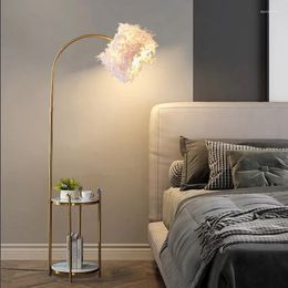 Floor Lamps Feather Lamp Light Luxury And Simplicity Living Room Bedroom Storage Coffee Table Night Fish Luring Vertical La