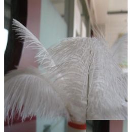 Party Decoration Whole 200Pcslot 89Inch White Ostrich Feather Plumewedding Centrepieces Home Decoraction Party Event Supply3313560 Dro Othuz