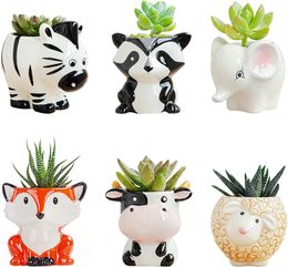 Wholesale 6 Pcs Set Animals Flower Pot Cartoon Shaped Small Succulent Pot Animal Planter Small Ceramic Plant Pot for Display Stand Home Office Desktop