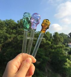 Pyrex Smoking Pipe Oil Burner Water Pipes Bubbler Skull Smoking Hand Pipes Curved Mini Smoking Pipes8264188