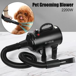 Dryers Adjustable Drying Hair 2200W 220V US Plug Pet Cat Grooming Blower Warm Wind Dryer for Small Medium Large Dog Hair Dryer For Dogs