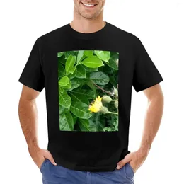 Men's Polos Hiding Bee In Yellow Flower T-Shirt Vintage Clothes Blank T Shirts For Men Pack