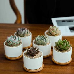 Planters Pots Succulent White Porcelain Flower Pot Simple Creative White Indoor Pot Succulent Flower Pot Creative Home Gardening Plants Potted YQ240109