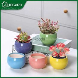 Planters Pots Plant Ornaments Succulent Plant Household Flower Pot For Office Creative Plant Pot Garden Supplies Potted With Breathable Hole YQ240109