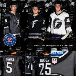 Custom USHL Fargo Force Hockey Jersey Black Gray Mens Youths Womens Player Or Number Stitch Sewn High Quality 49