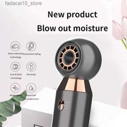 Hair Dryers Portable Mini Hair Dryers Hair Care Styling Tools Travel Professional One Step Portable Hair Dryer Dryers Hair Fast Heating Q240109