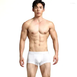 Underpants Fashion Classic Black And White Gray Low Waist Men's Sexy Underwear Panties Boxers Shorts U Convex Bag Hombres Lingerie