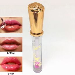 Ministar BB Lipgloss Magic Long Lasting Plumping Lip Gloss Fashion Clear Peppermint Flavoured Lips Makeup for Dry Skin1651578