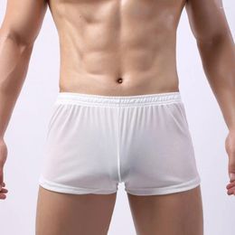 Underpants Men's Briefs Sexy Transparent Boxer Solid Color Mesh Waistband Ultra Thin Panties Breathable See Through Bikini Swimwear