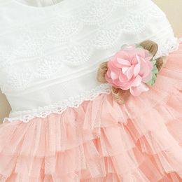 Girl Dresses Summer Toddler Little Girls Lace Tutu Dress Solid Colour Short Sleeve Patchwork Tulle Princess Skirt 0-24M