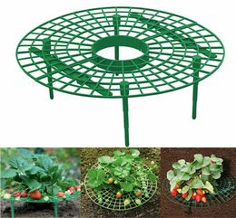 Strawberry Stand Frame Holder Balcony Planting Rack Fruit Support Plant Flower Climbing Vine Pillar Gardening Stand XBJK20036295691