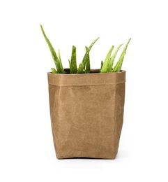 2021 Kraft Paper Bags Plant Stand Washable Flower Planter Succulent Pot Indoor Plants Holder Home Kitchen Basket Paper Bags2134451