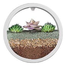 Planters Pots Round Metal Iron Glass Wall Vase Wall Terrarium Wall Plant Pot Wall Flower Pots Vertical Garden Flower Pot Wall Decoration YQ240109