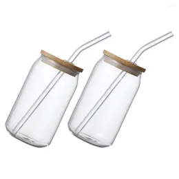 Wine Glasses 2 Pcs Straw Glass Iced Tea Juice Can Cup Water Drinking Wooden Beverage