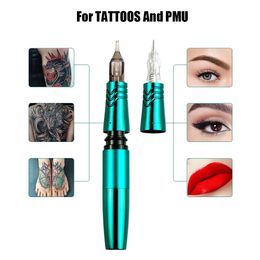 Machine Rotary Tattoo Hine Permanent Makeup Hine with Cartridges Rca Jack Tattoo Pen Gun Dual Use Eyebrow Hine