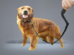 Dog Collars 3m50m Super Long Leash With Handle Black Pink Blue Pet Lead 15m 10m 6m Walking Running Training Rope4364988